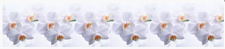 Фартук ПВХ термоперевод Голубая орхидея/Нежная орхидея 600х3000 мм