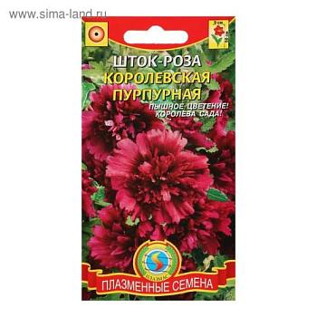 Шток-роза Королевская Пурпурная однолет 0,1 г; С-Л, 1766606