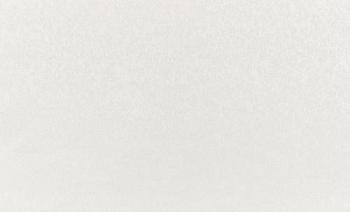 Обои виниловые 1,06х10 м ГТ Круги фон серый; Палитра АС, 70225-14/6