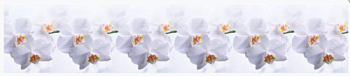 Фартук ПВХ термоперевод Голубая орхидея/Нежная орхидея 600х3000 мм