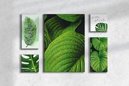 Картина модульная Пальмовые листья 20х20см(2шт), 20х40(2шт),47х67(1шт); МК-021