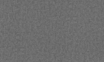 Обои виниловые 1,06х10 м ГТ Fiorita серый; Vernissage, 168323-05/6